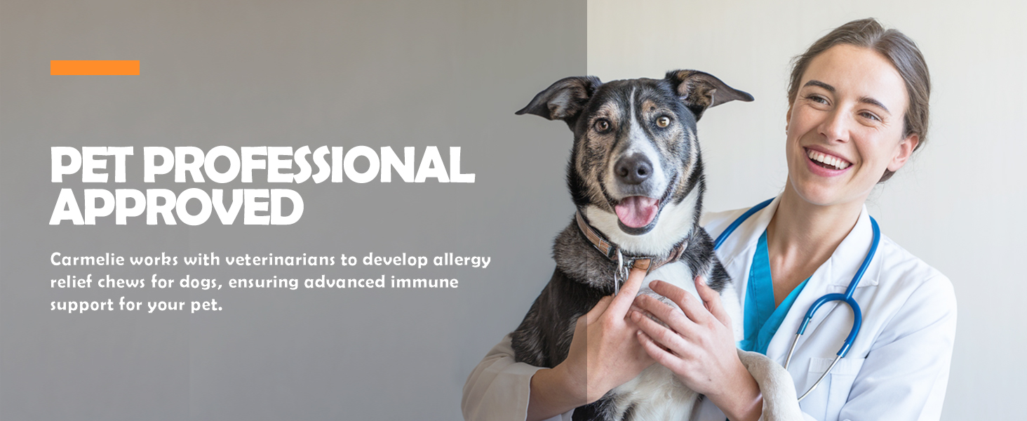 PET PROFESSIONAL APPROVED