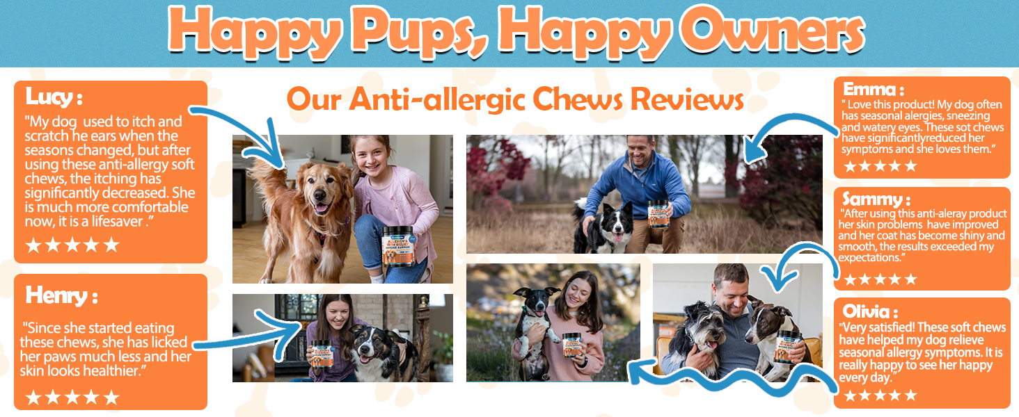 dog seasonal allergy relief