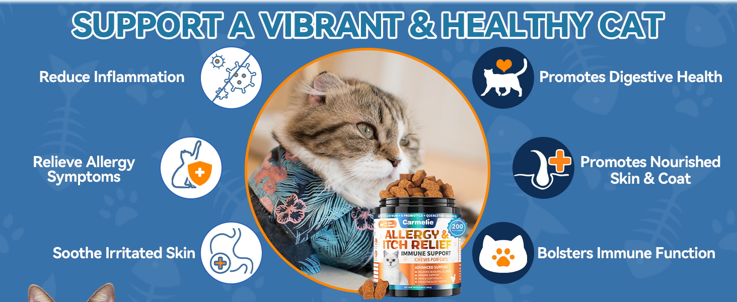 Cat Allergy Relief 