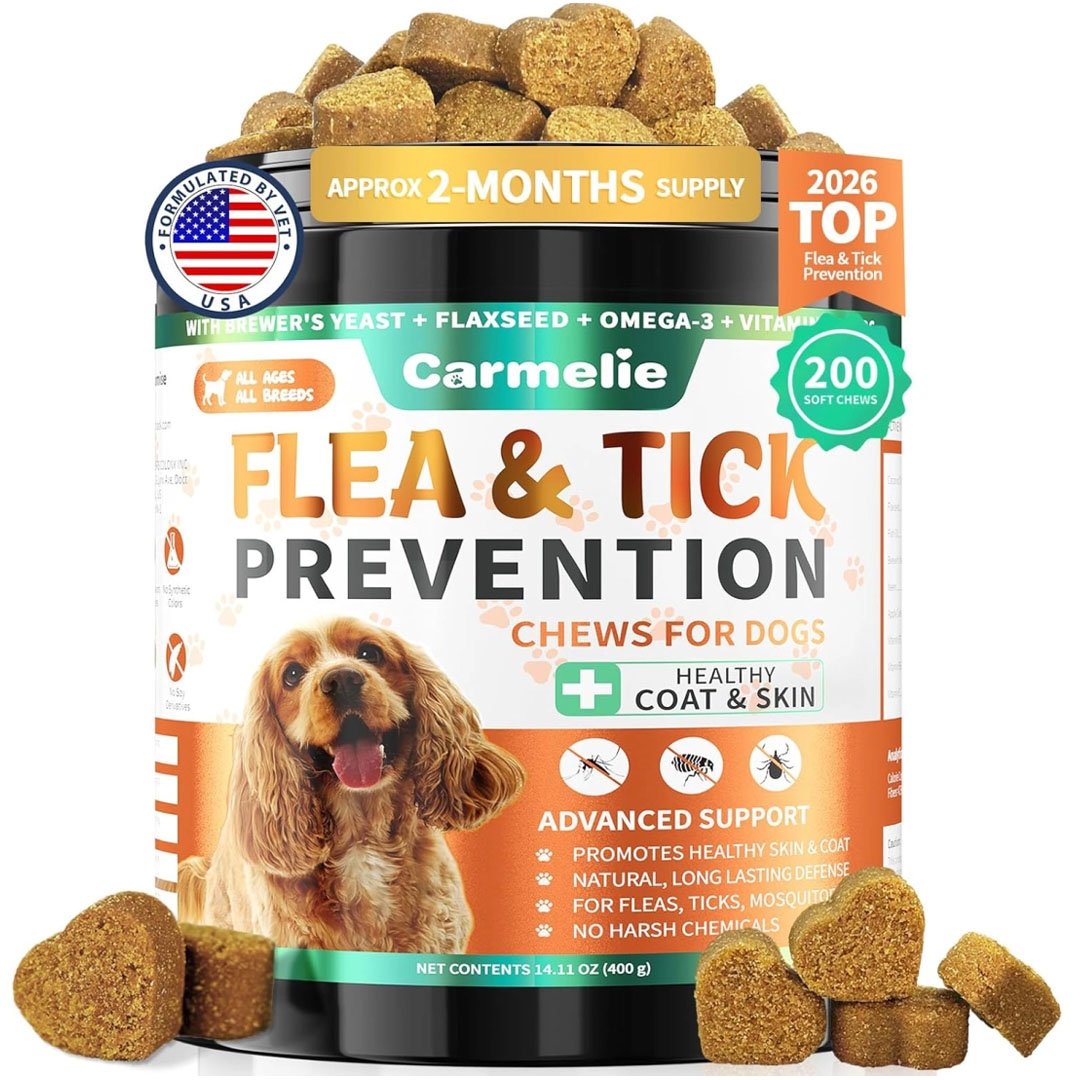 Dog Flea Chew 200 Natural Soft Chews for Flea & Tick Defense | Supports Skin & Coat Health | Chicken Flavor