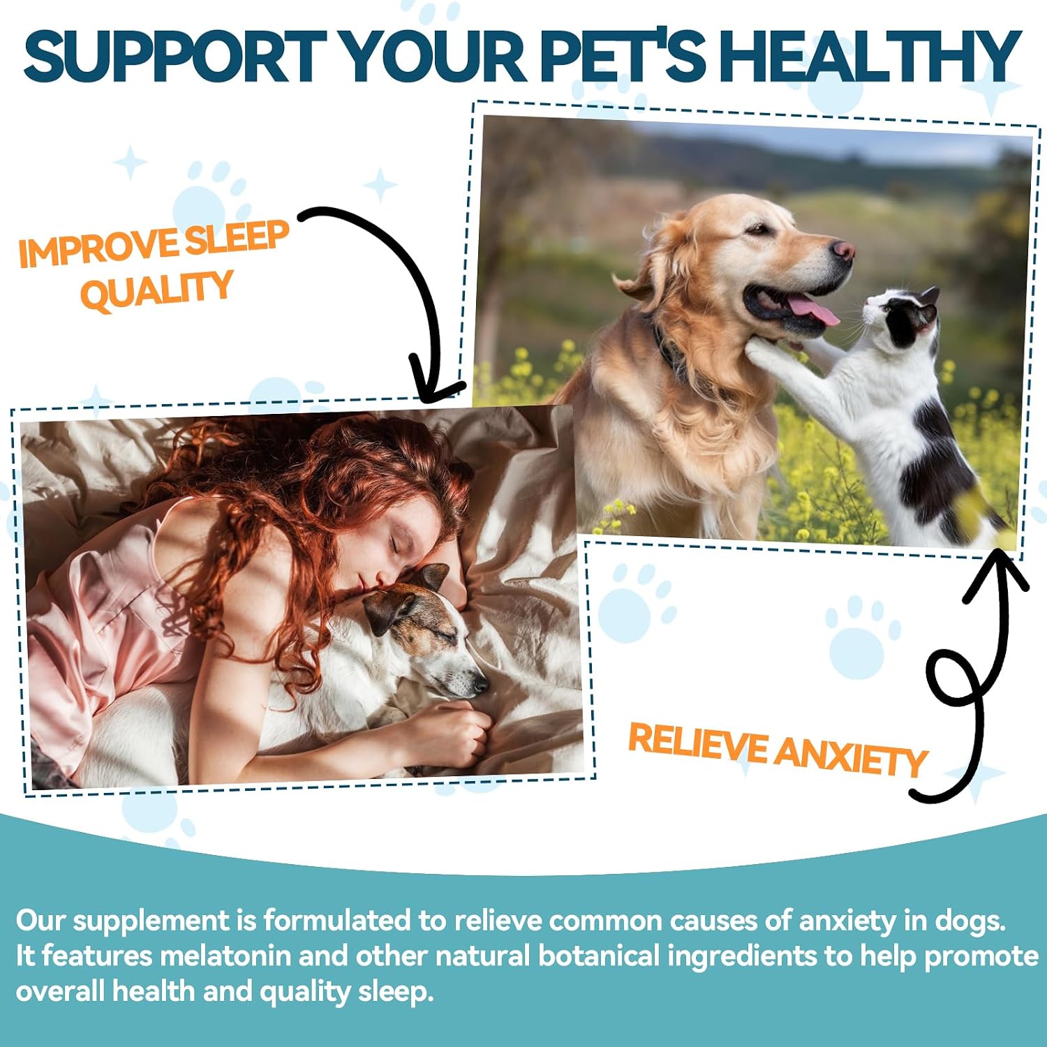 Carmelie Melatonin Sleep Support Drops for Dogs & Cats