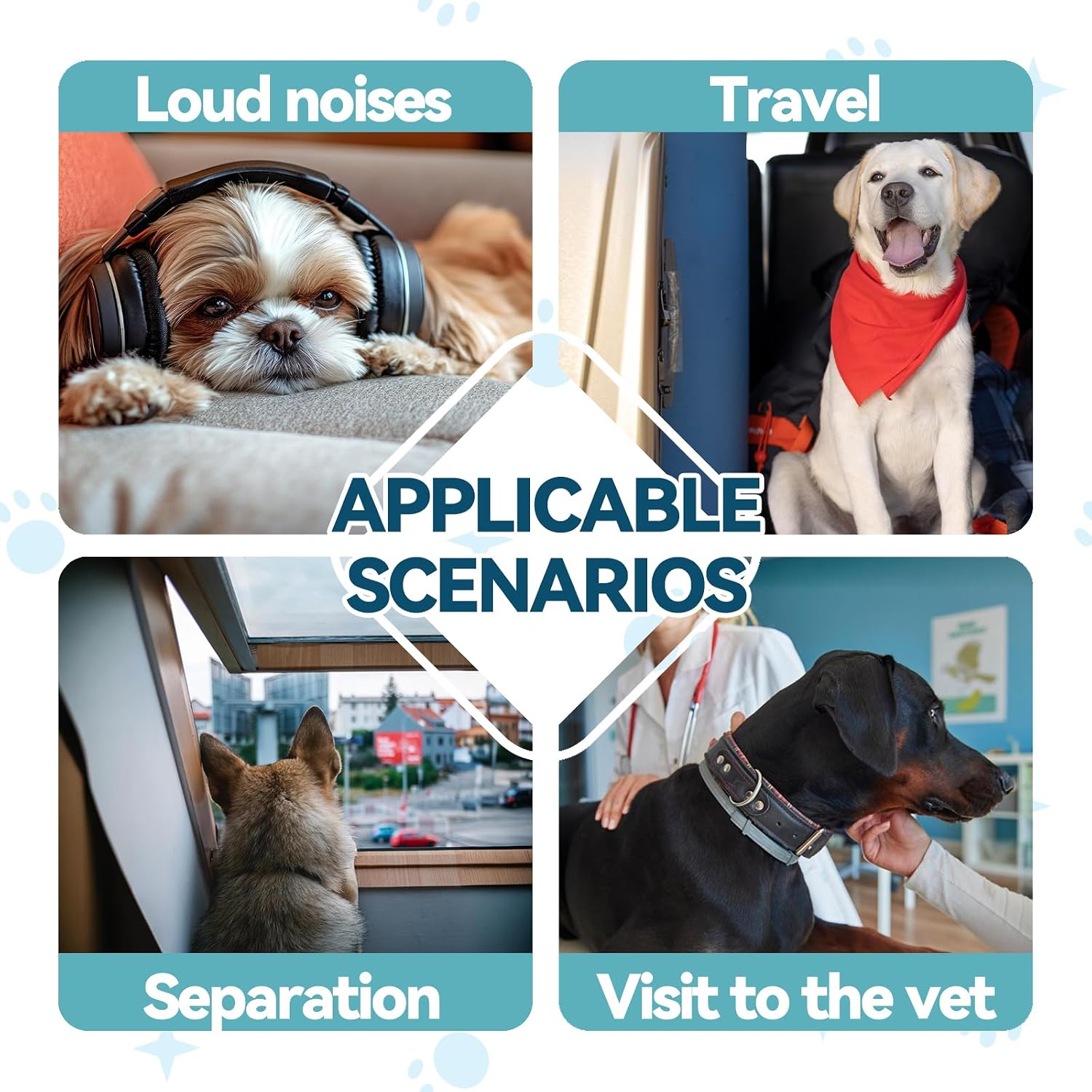 Carmelie Melatonin Sleep Support Drops for Dogs & Cats
