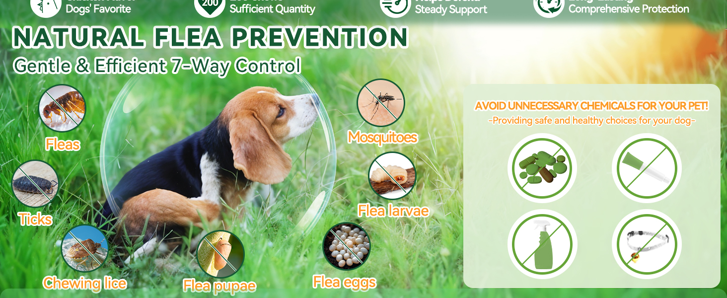 dog flea and tick treatment