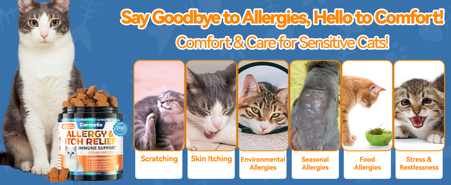 Cat Allergy Relief 