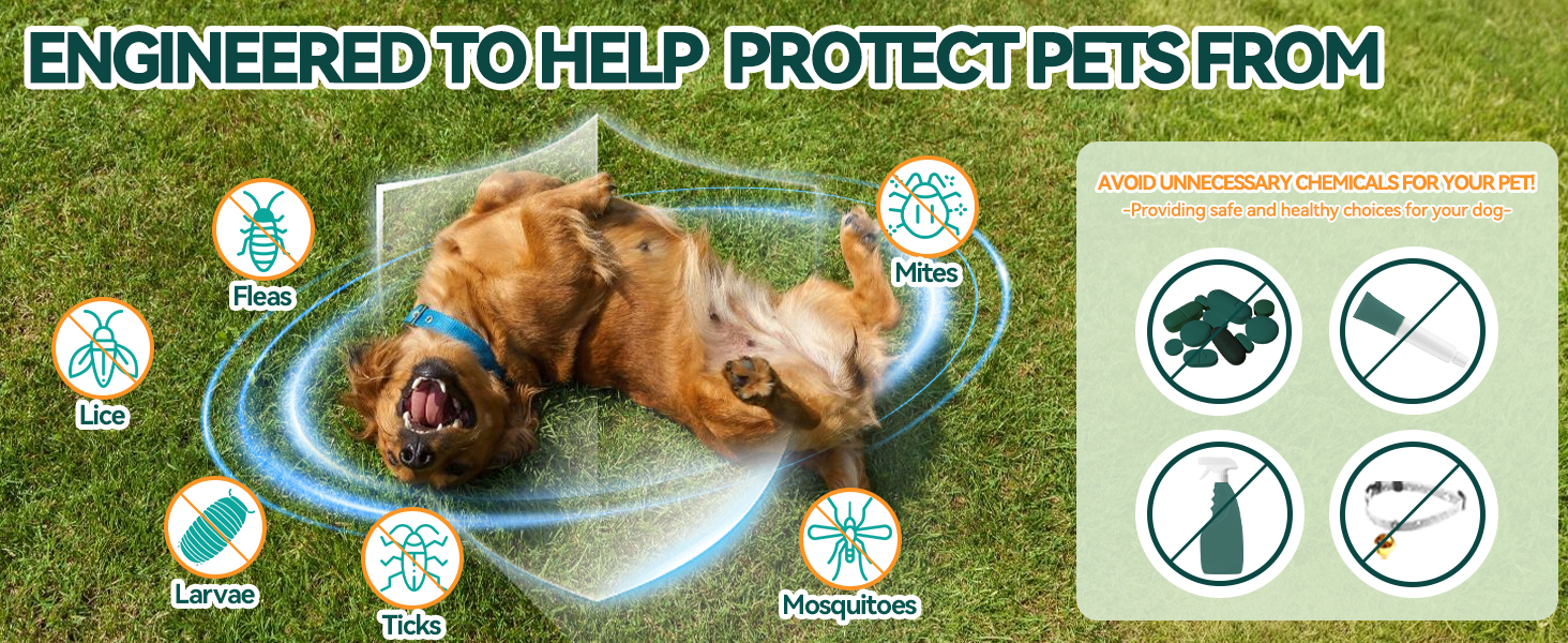dog flea drop