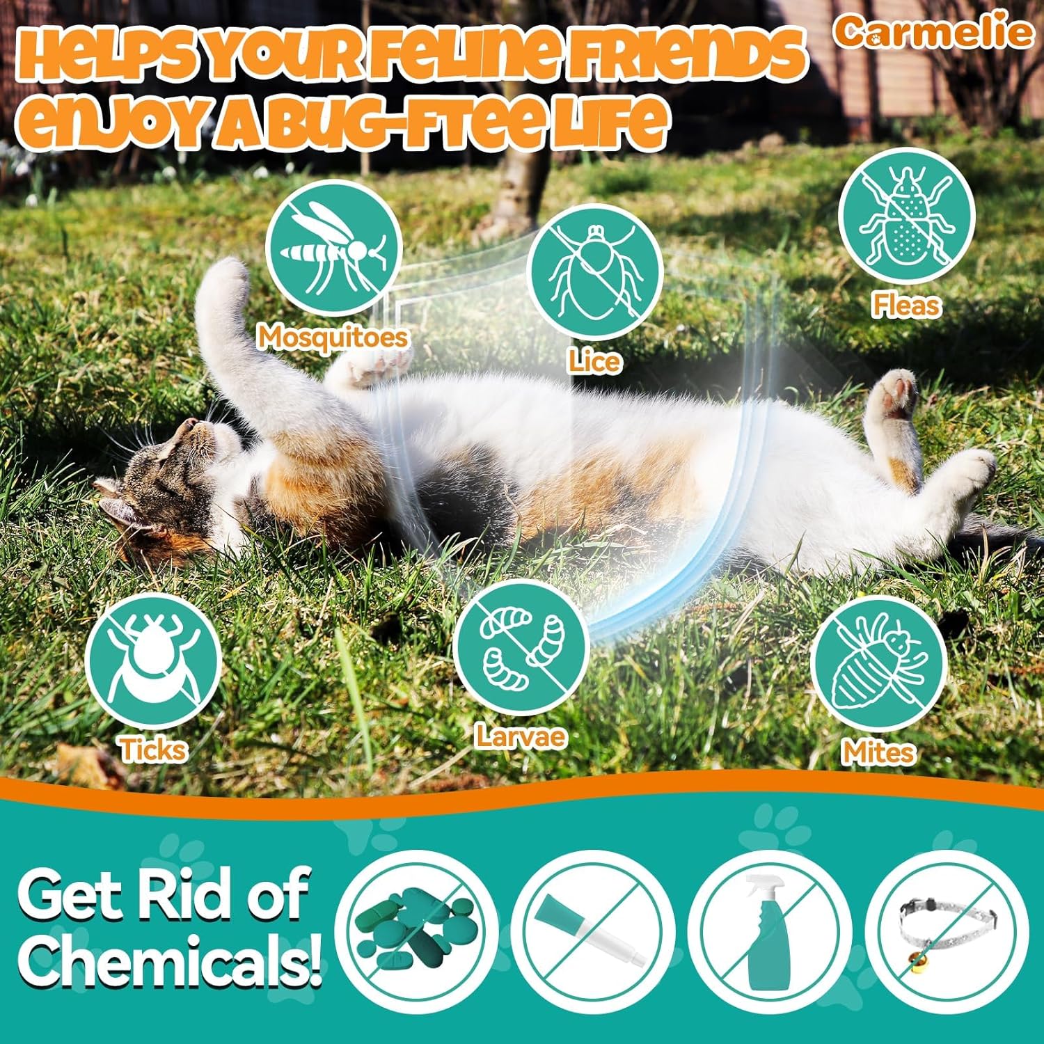 Flea and Tick Prevention for Cats, Natural Cat Flea Liquid Drops, Flea & Tick Supplement with Vitamins & Fish Oil for Cats Healthy Skin & Coat - All Breeds, Kittens to Senior Cat - Chicken Flavor