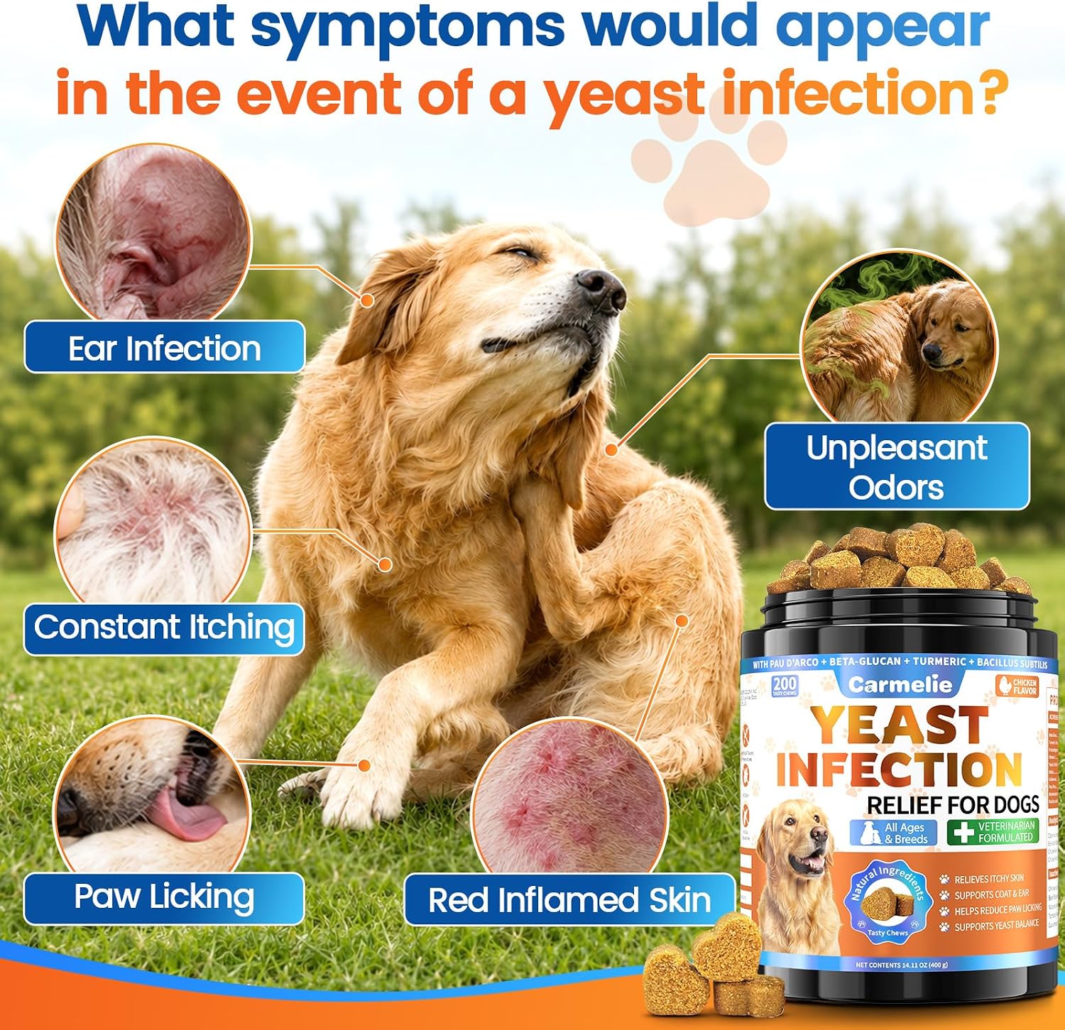 Carmelie Yeast Infection Treatment for Dogs - 200 Chews, Advanced Yeast Balance & Itch Relief, Allergy Support & Ear/Paw Odor Care for All Dog Ages