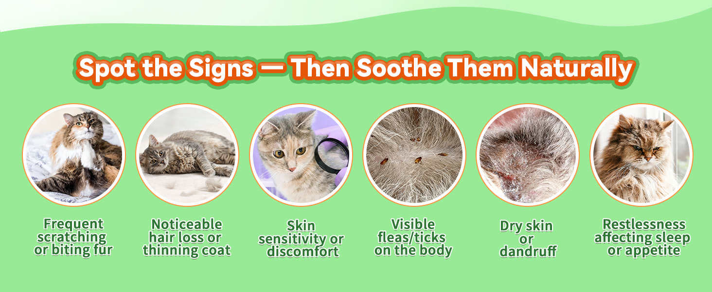 Flea and Tick Chewables for Cats