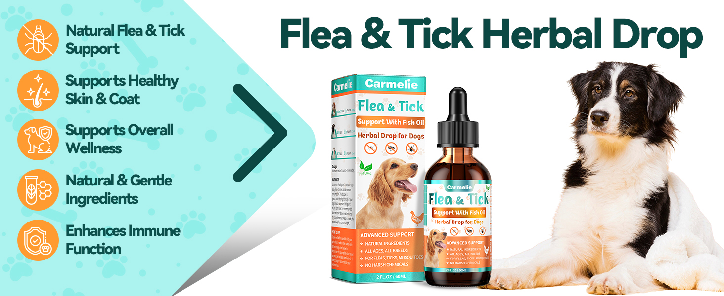 dog flea drop