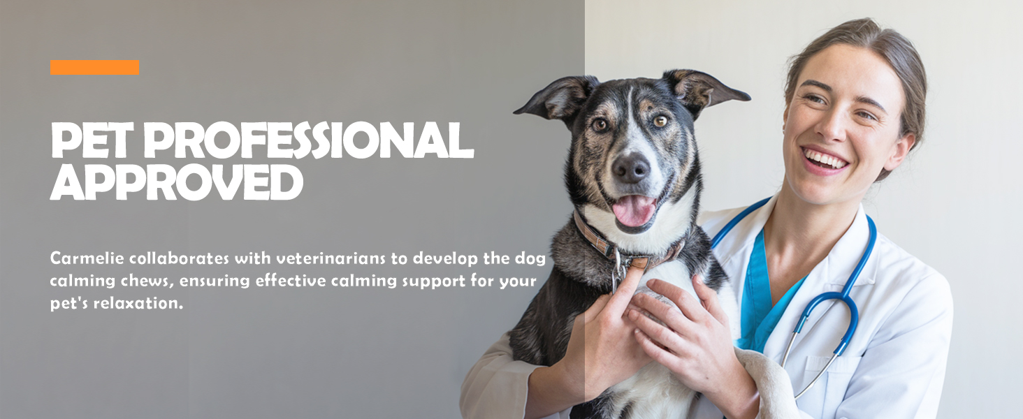 PET PROFESSIONAL APPROVED