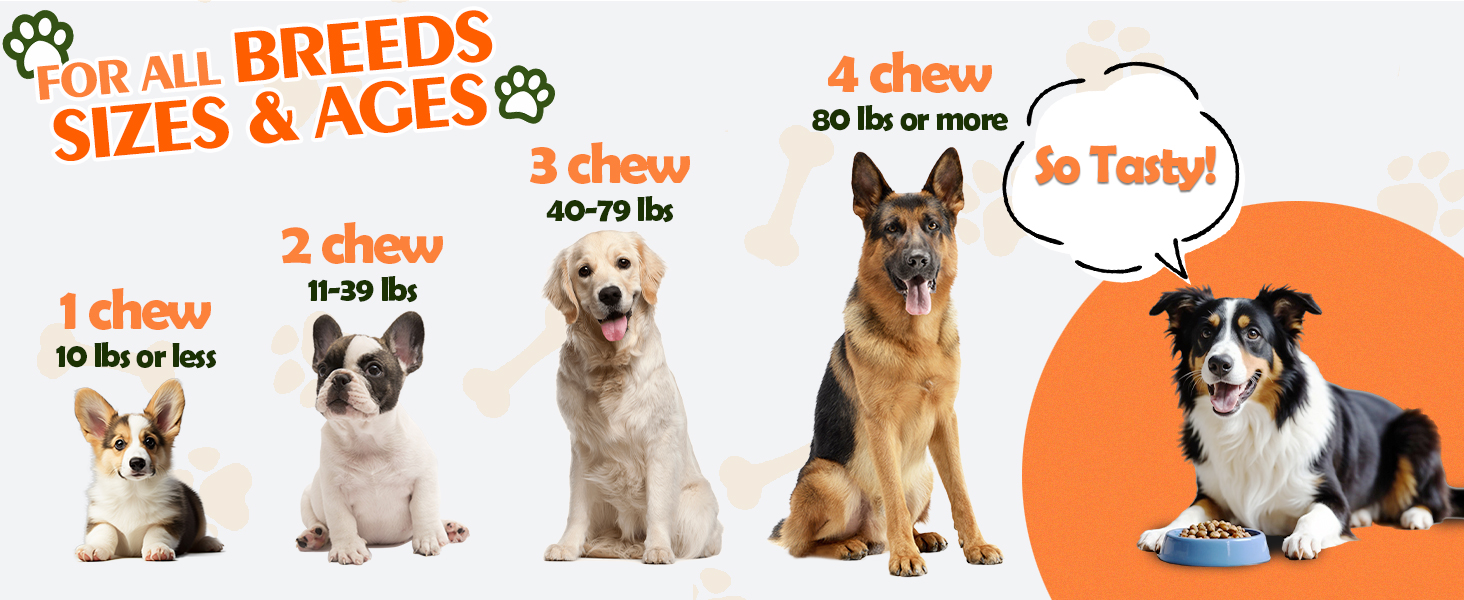 Flea and Tick Treatment for Dogs