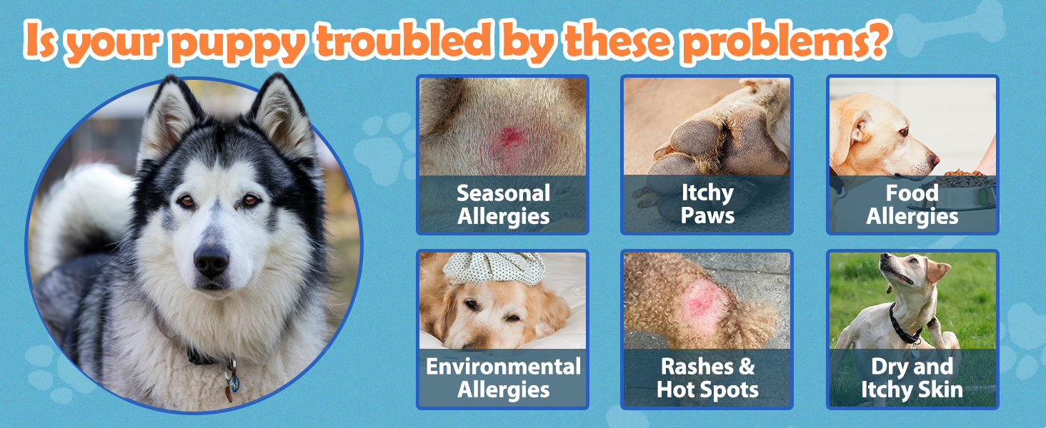 itchy dog skin relief chews