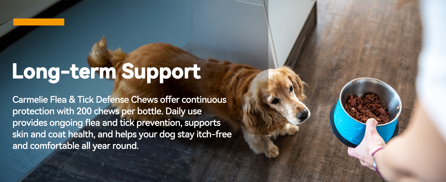 chewable flea and tick for dogs