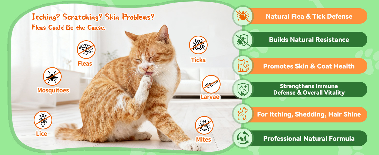 Flea and Tick Prevention for Cats