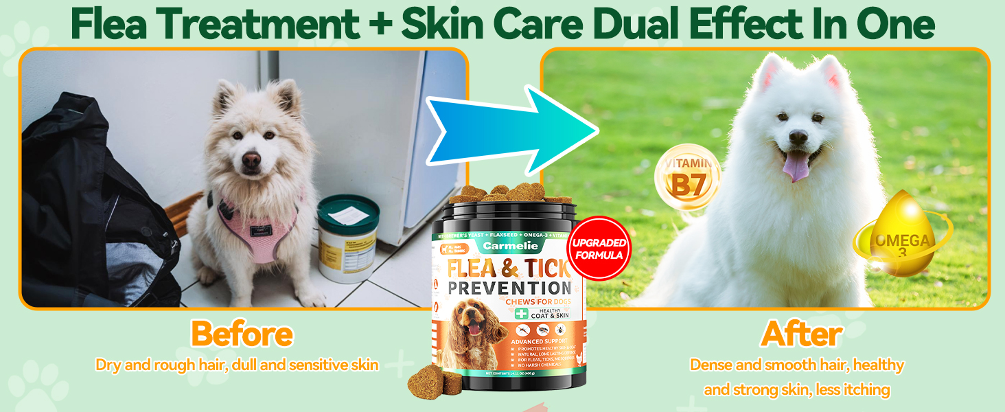 dog flea and tick treatment chewable