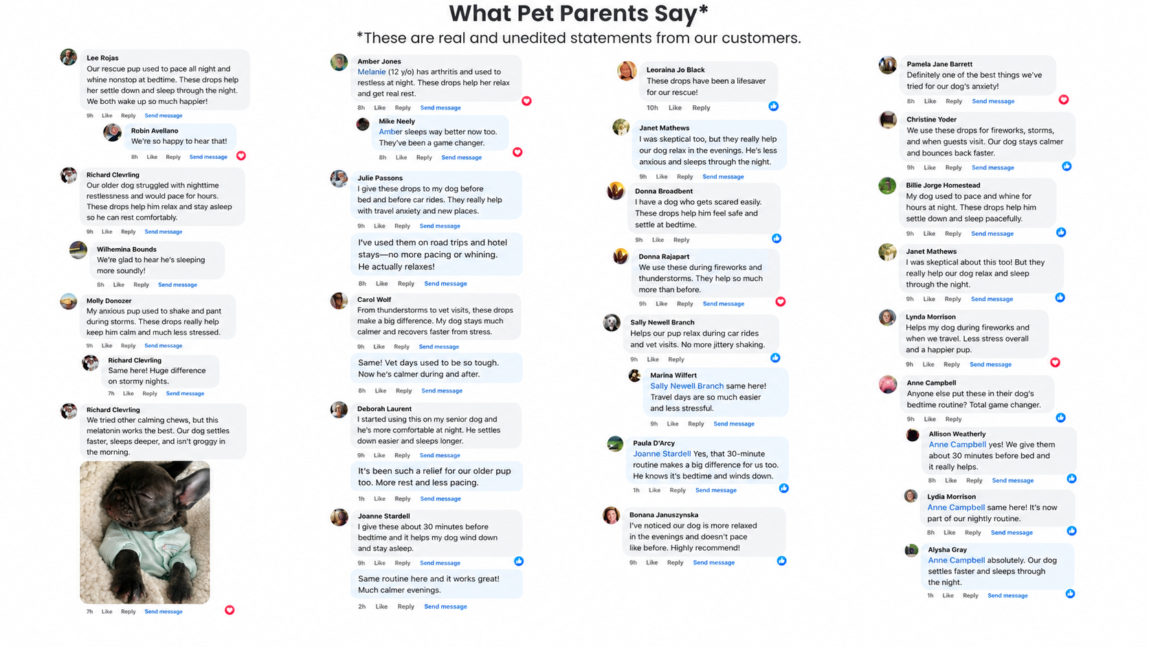 Dog Parents Real Reviews