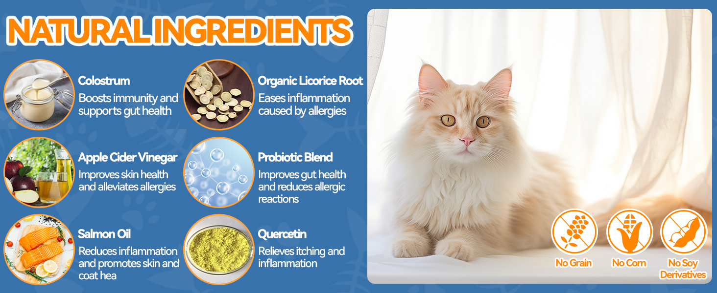 Cat Allergy Relief 