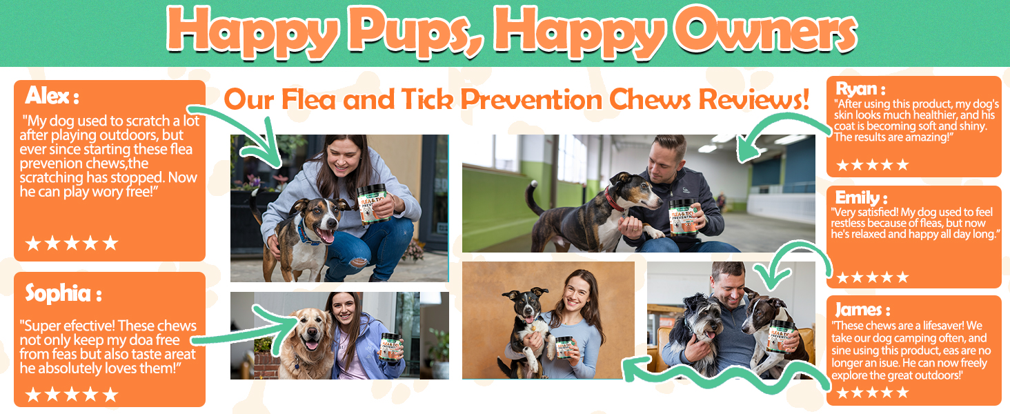 dog seasonal allergy relief