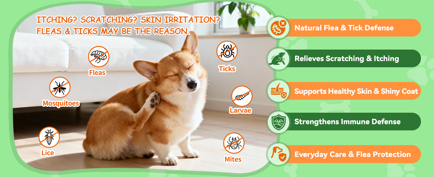 flea and tick treatment for dogs
