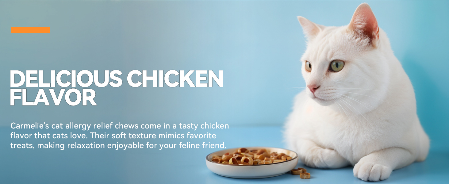 Cat Allergy Relief 