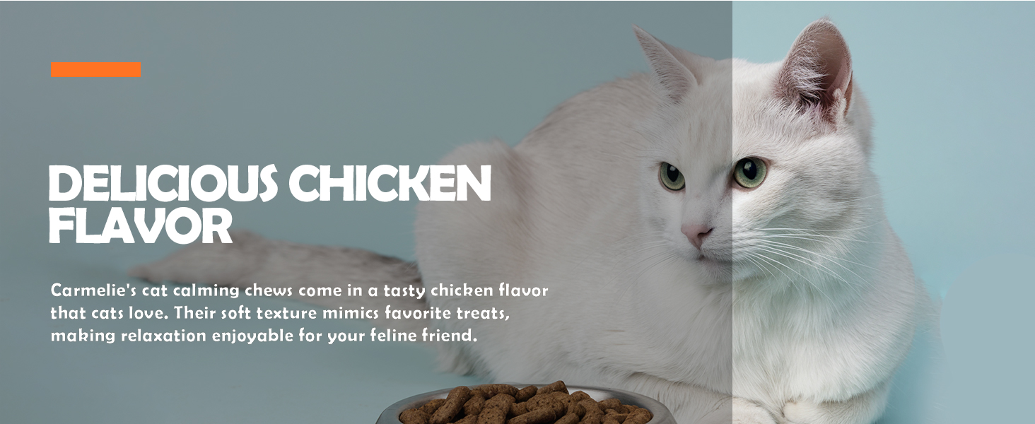 DELICIOUS CHICKEN FLAVOR