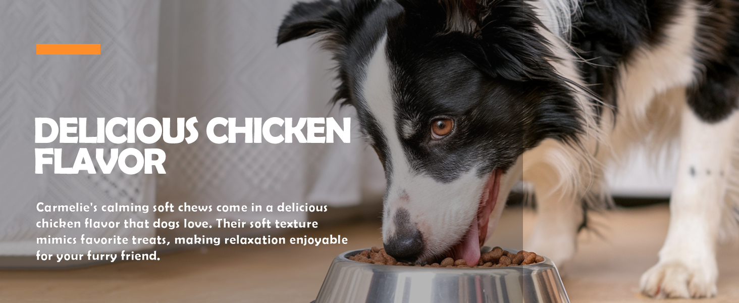 DELICIOUS CHICKEN FLAVOR