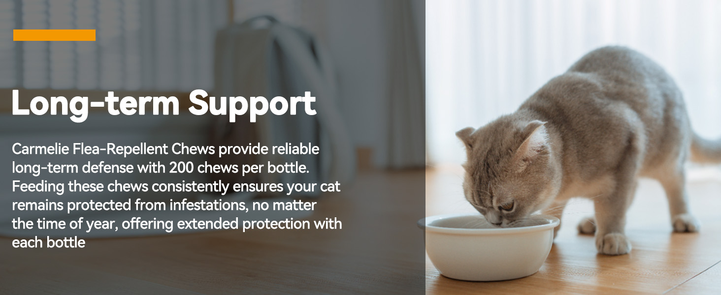 Long-term Support