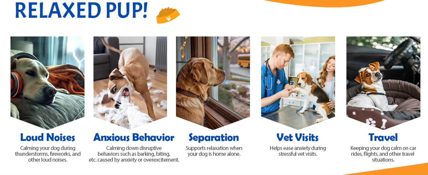 calming chews for dogs