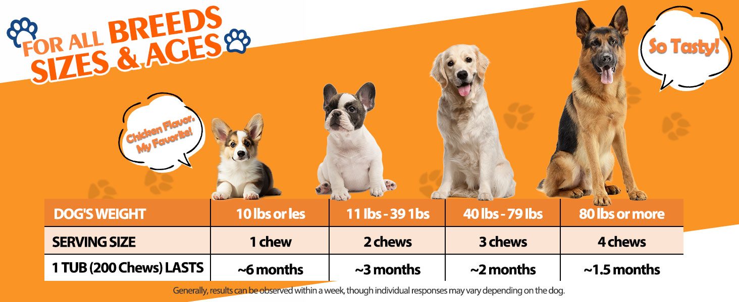 calming support for dogs