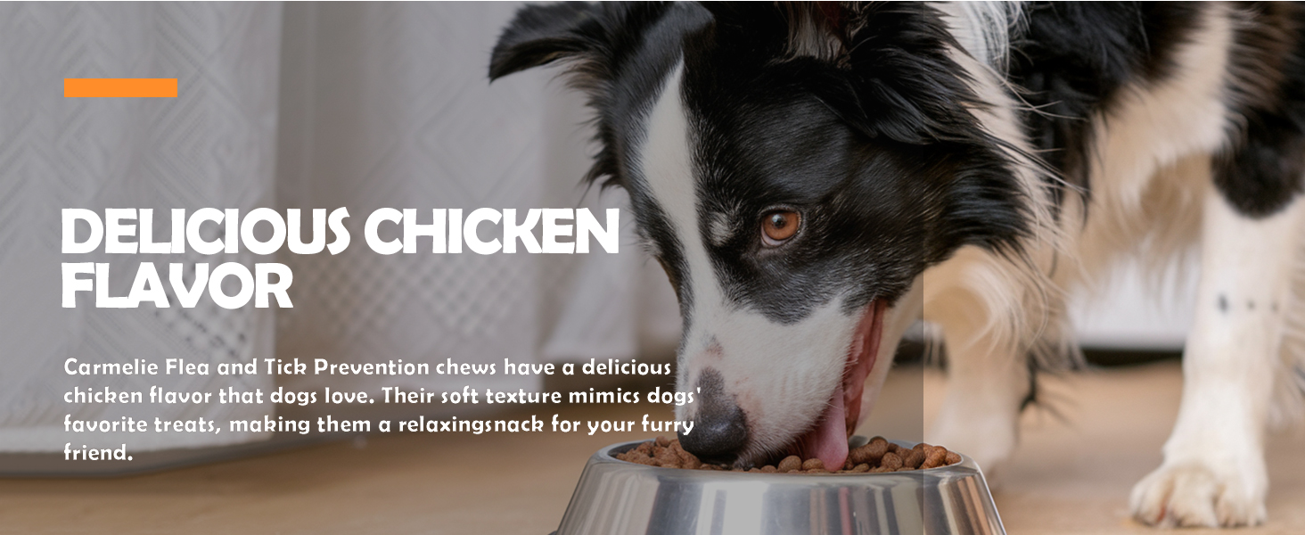 DELICIOUS CHICKEN FLAVOR