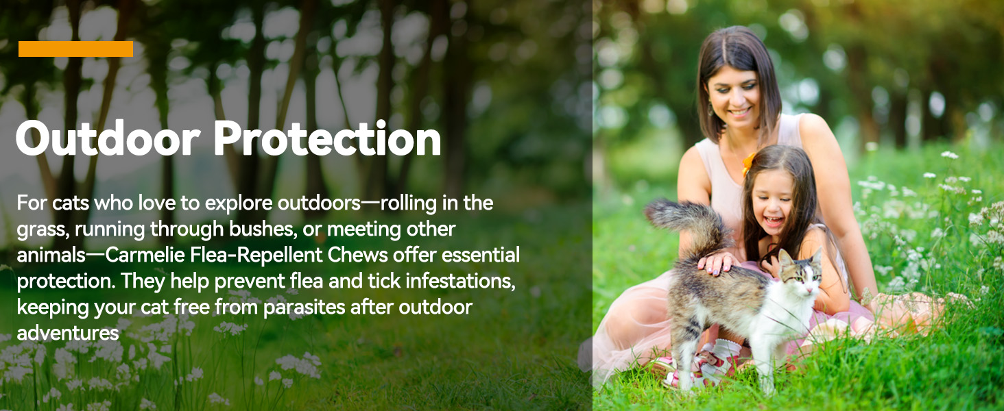 Outdoor Protection