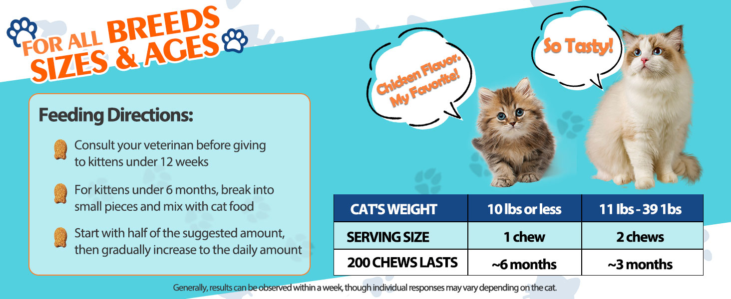 calming support for cats