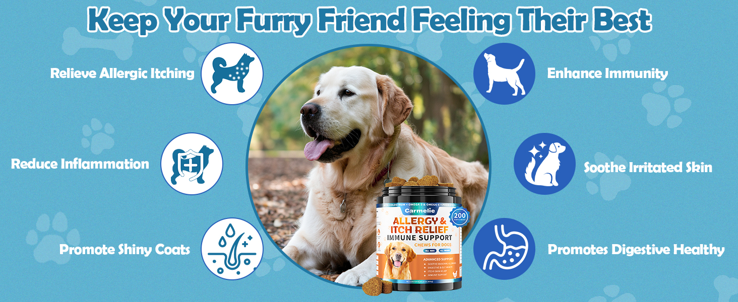 dog allergy relief chews