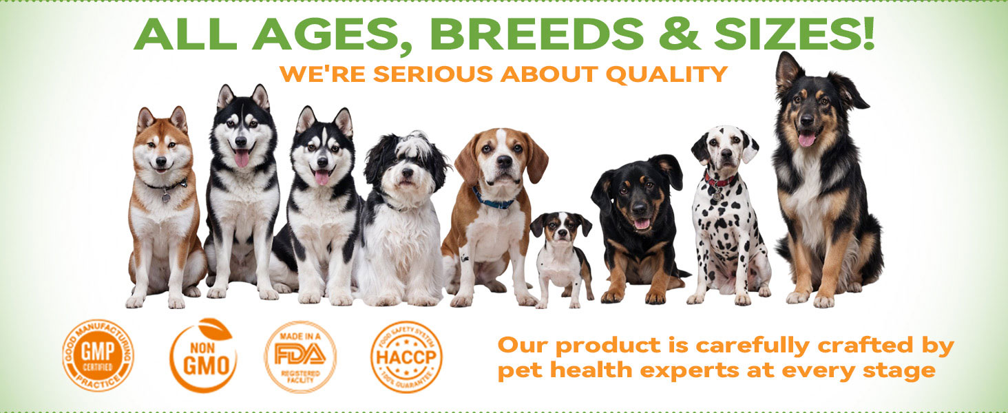 flea treatment dogs