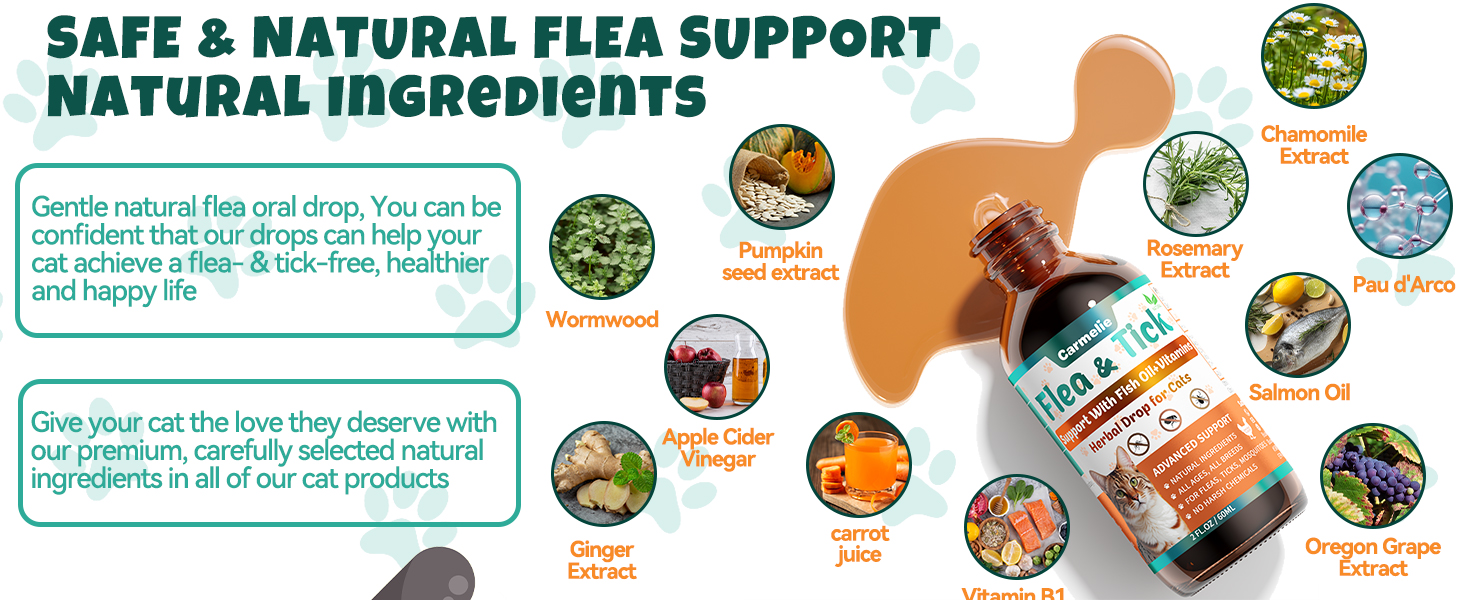 flea and tick prevention for cats