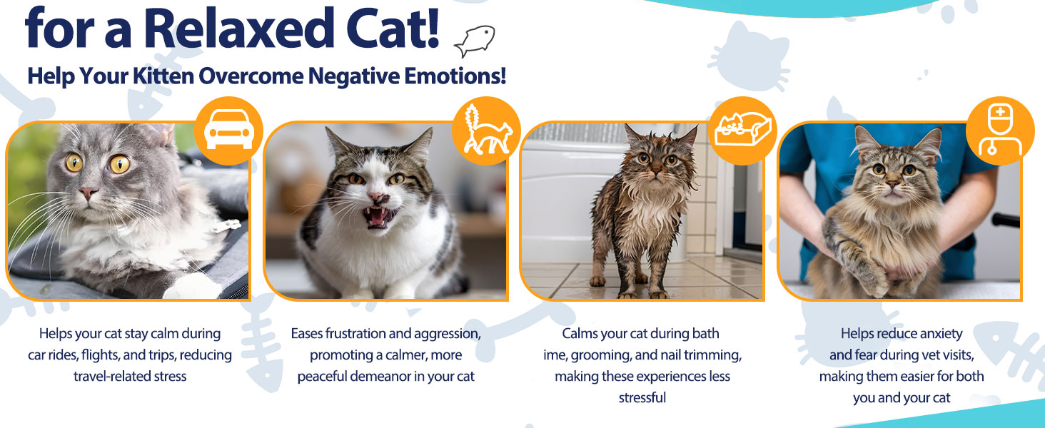 calming chews for cats