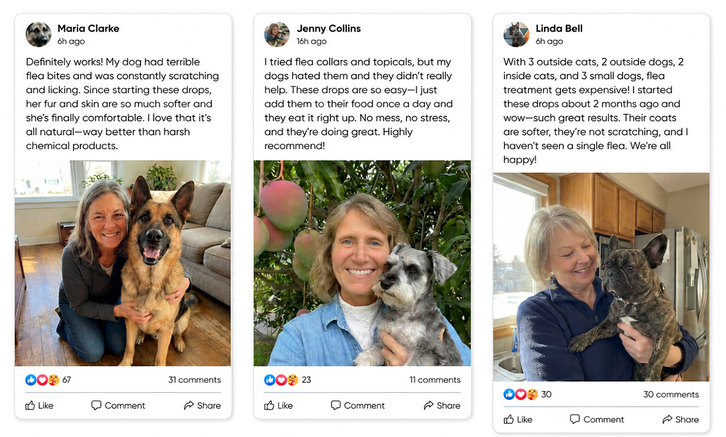 Dog Parents Real Reviews