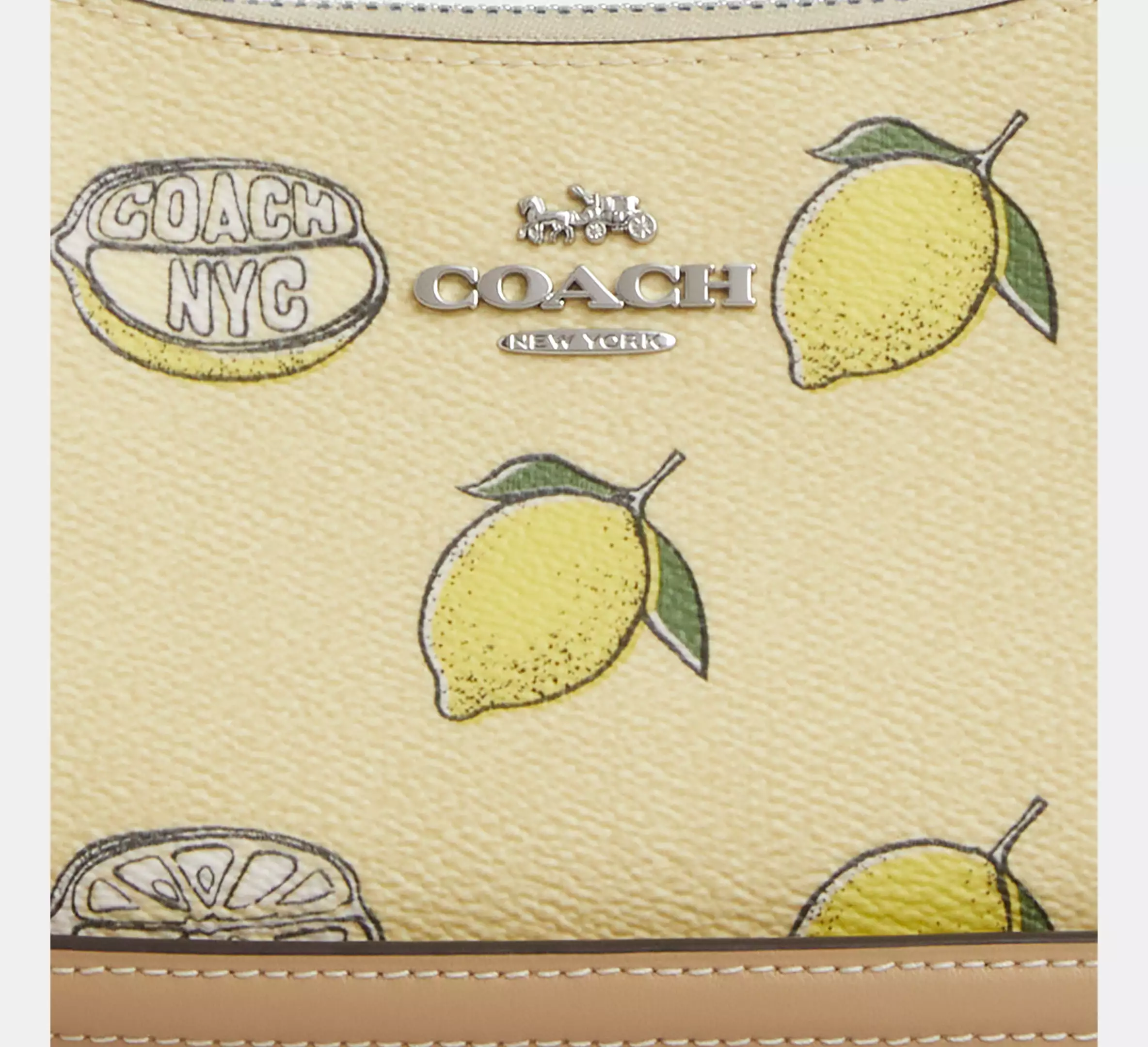 Teri Mini Crossbody Bag With Lemon Print