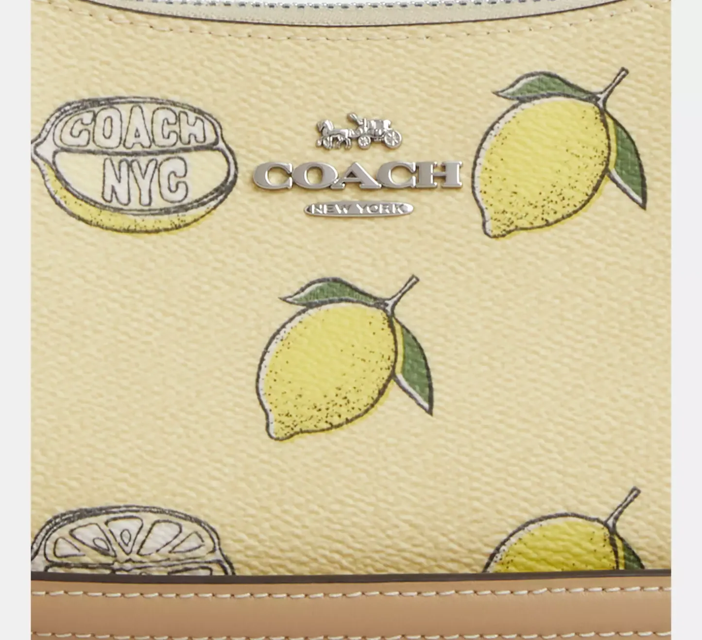 Teri Mini Crossbody Bag With Lemon Print