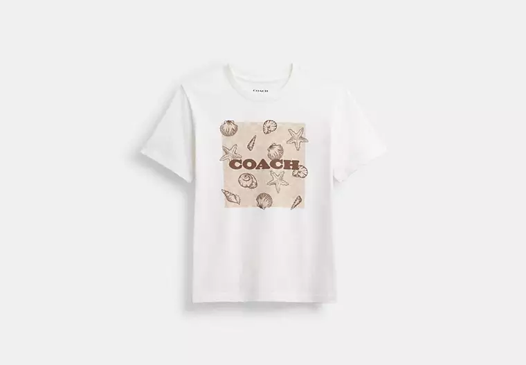 Shell Signature Square Classic T Shirt In Organic Cotton