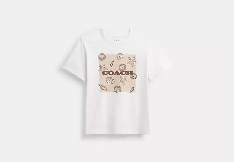 Shell Signature Square Classic T Shirt In Organic Cotton