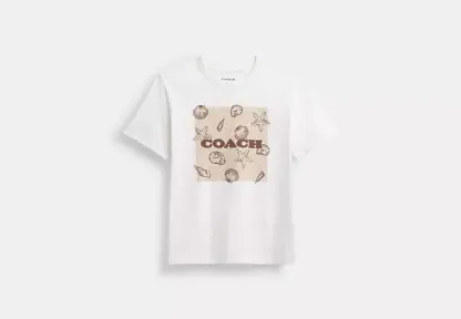 Shell Signature Square Classic T Shirt In Organic Cotton