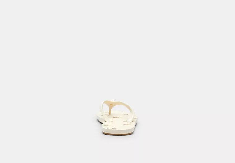 Zayn Flip Flop With Shell Print