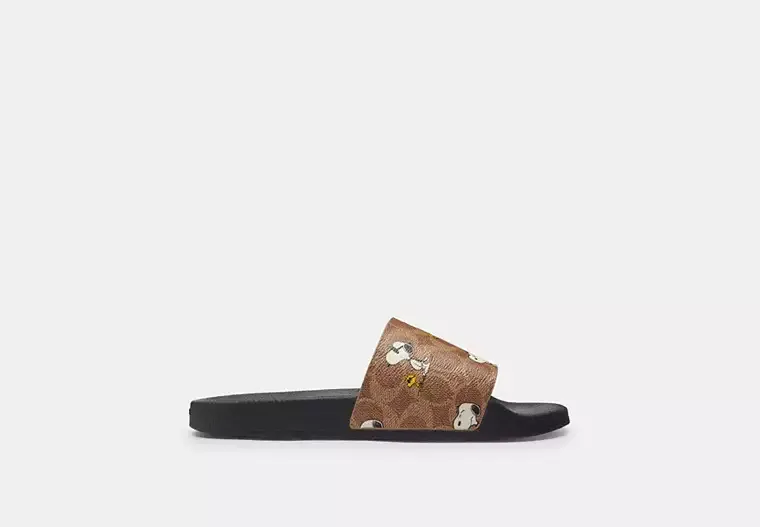Coach X Peanuts Udele Sport Slide In Signature Canvas With Snoopy Print