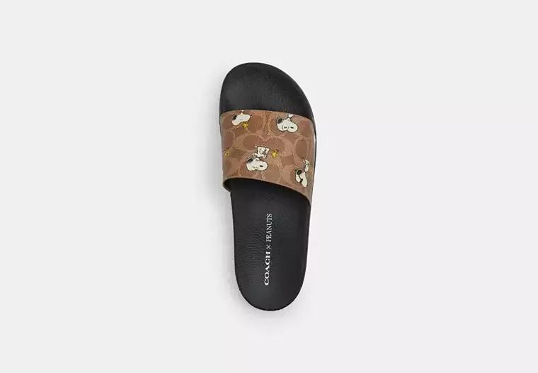 Coach X Peanuts Udele Sport Slide In Signature Canvas With Snoopy Print