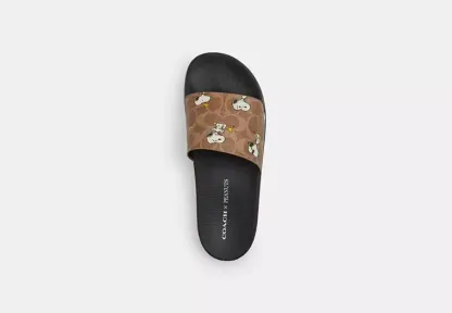 Coach X Peanuts Udele Sport Slide In Signature Canvas With Snoopy Print