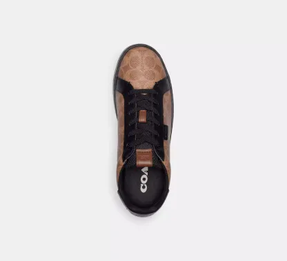 Lowline Low Top Sneaker In Signature Canvas