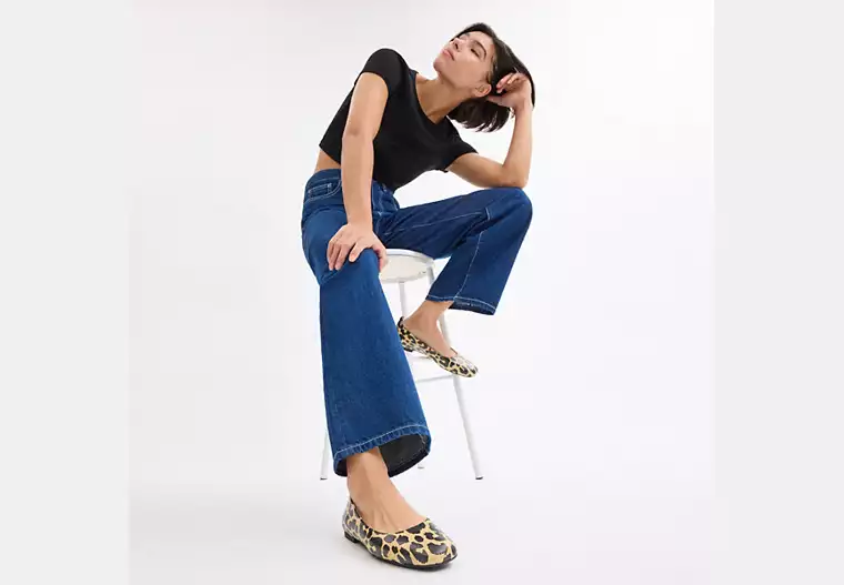 Wendie Ballet