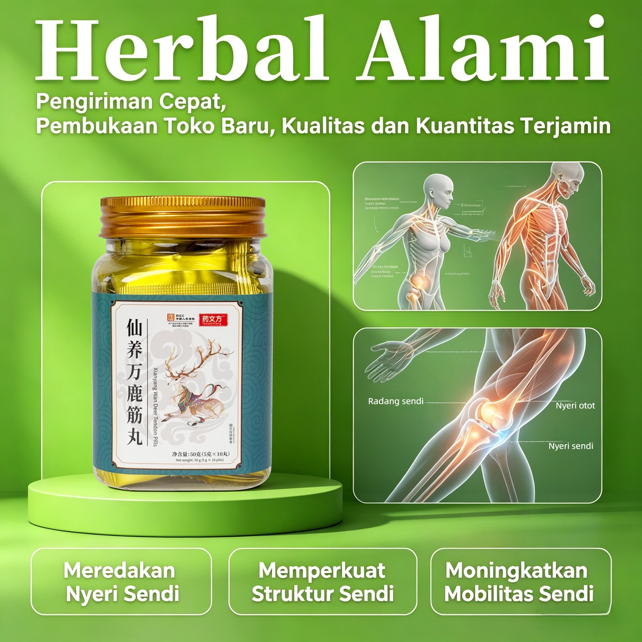 Pil Tendon Rusa (untuk nyeri punggung bawah dan kaki)