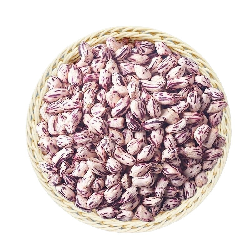 Kacang Tanah Liar Tujuh Warna dari Yunnan